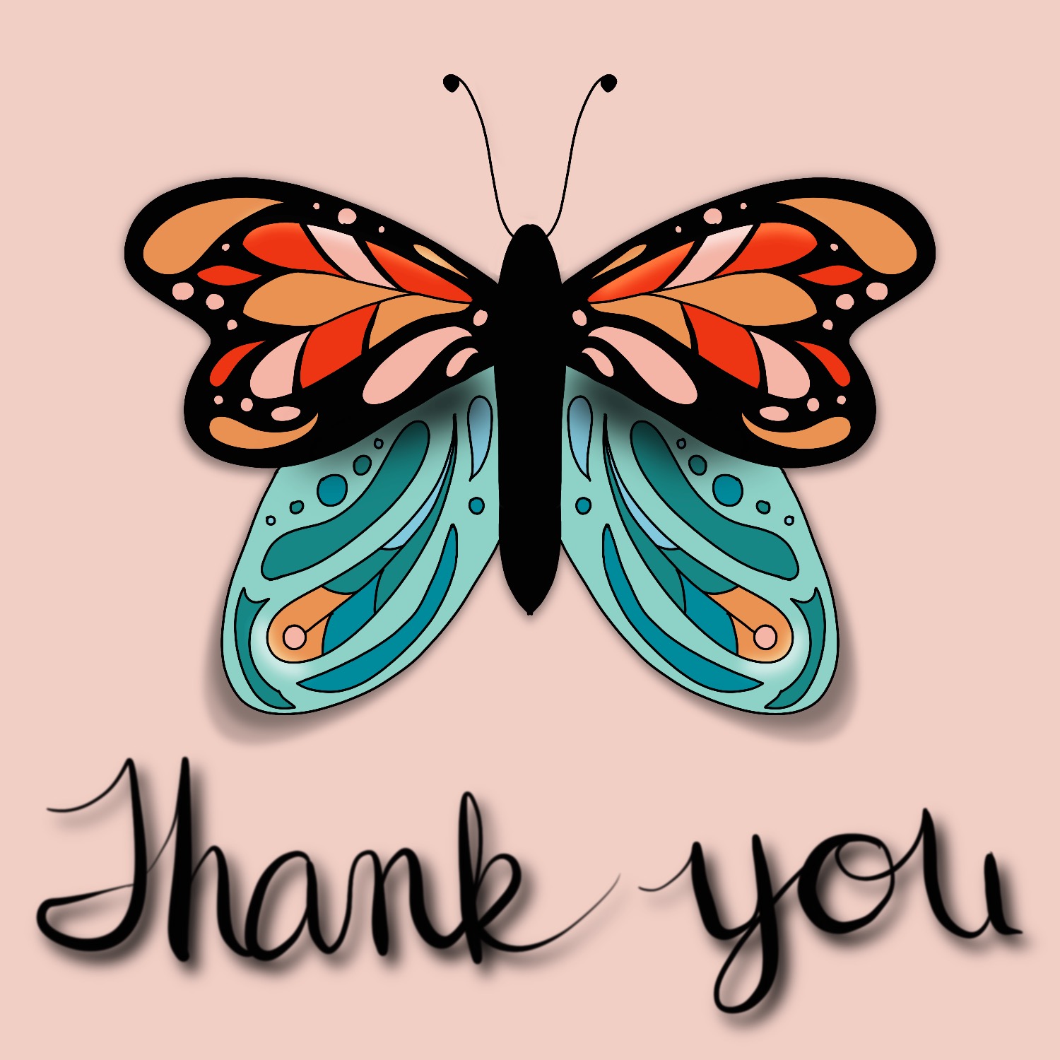 Monarch butterfly illustration